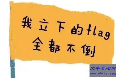 立旗 意思|立flag:詞語來源,示例引證,多重含義,不同的含義,矛盾的用法,解讀。